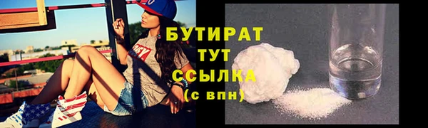 крисы Корсаков