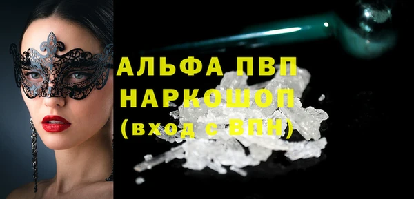 крисы Корсаков