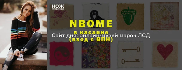 крисы Корсаков