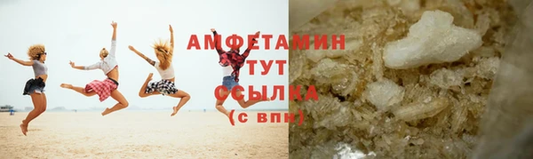 крисы Корсаков