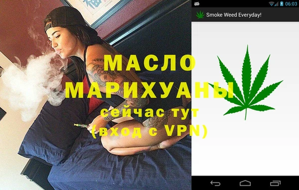 крисы Корсаков