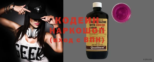 крисы Корсаков
