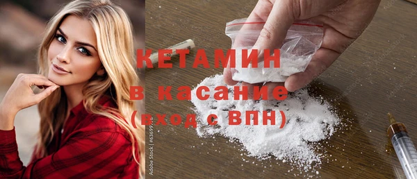 крисы Корсаков