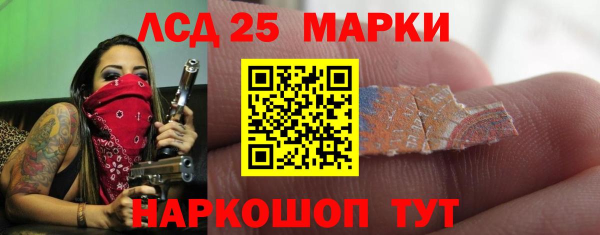 Конопля Бердск