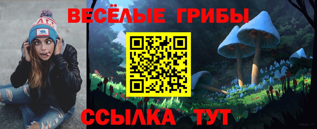 Галлюциногенные грибы Magic Shrooms Бердск