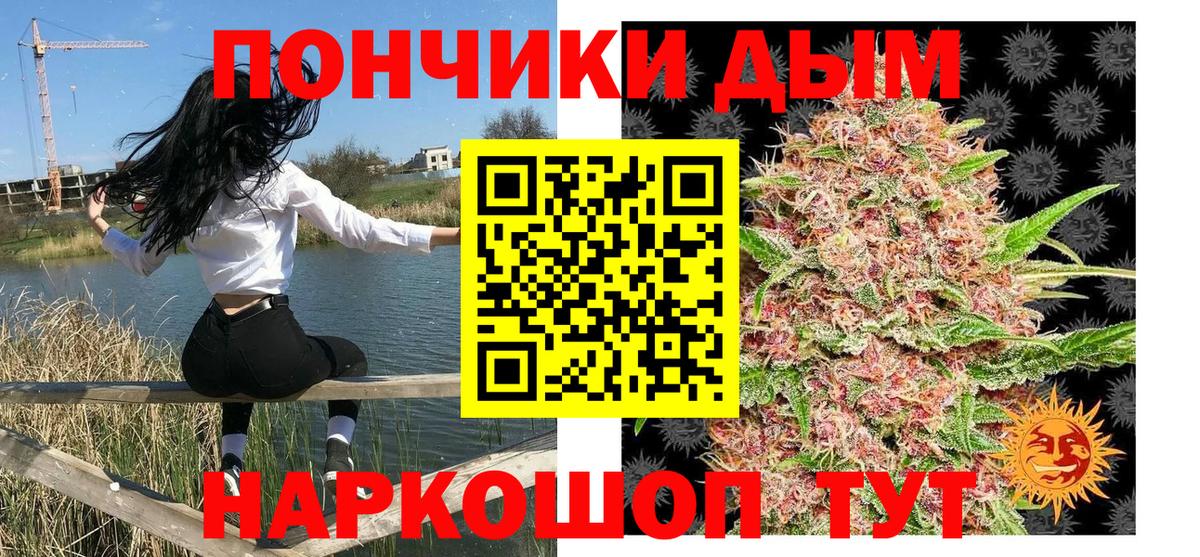 Конопля гибрид Бердск