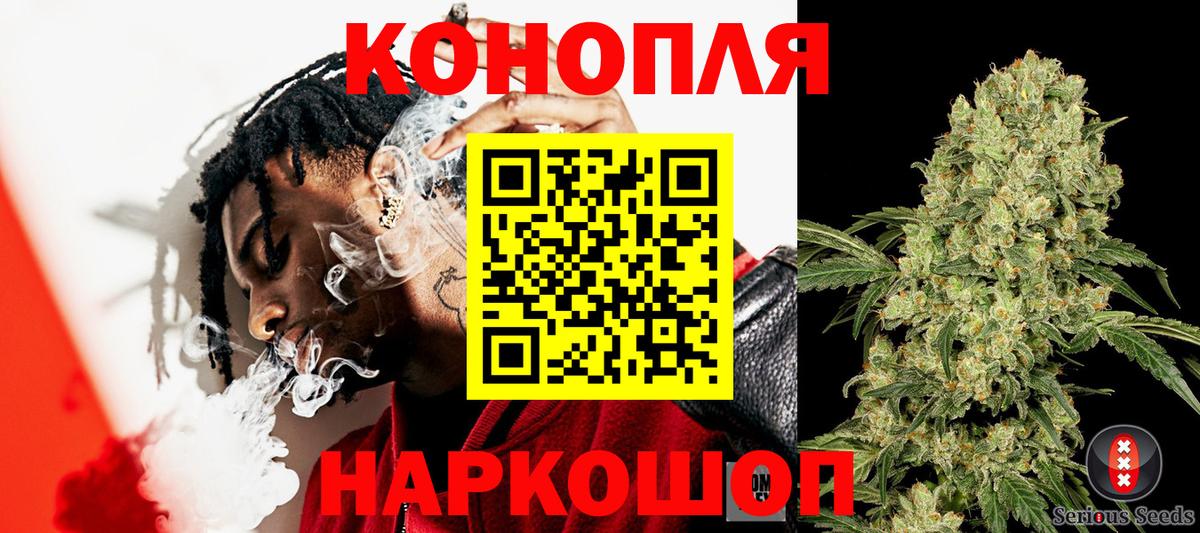 Бошки марихуана семена  Вход с VPN  Бердск  Марихуана White Widow  Марихуана семена 